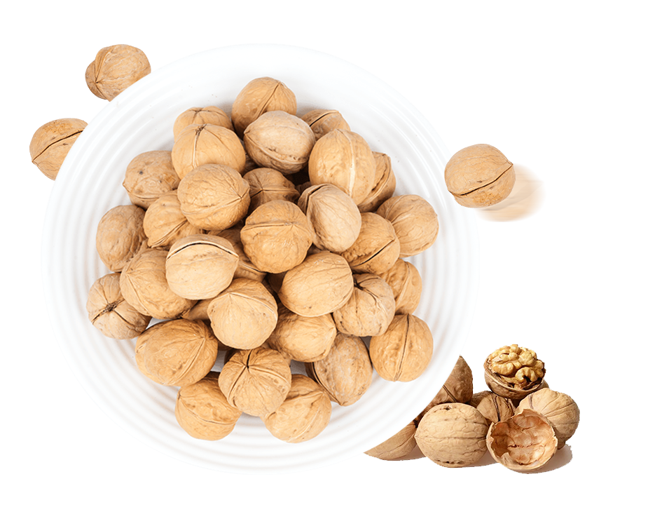 Milky Flavor Paper Walnuts