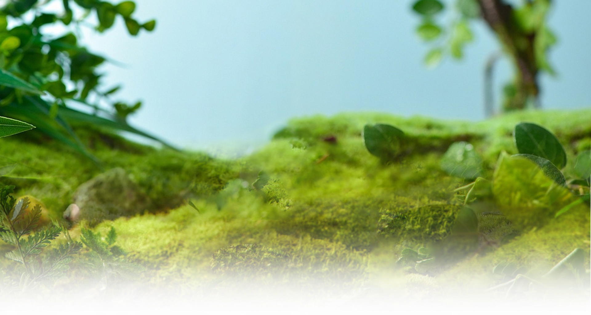 Hangzhou Tianci Food Co., Ltd.
