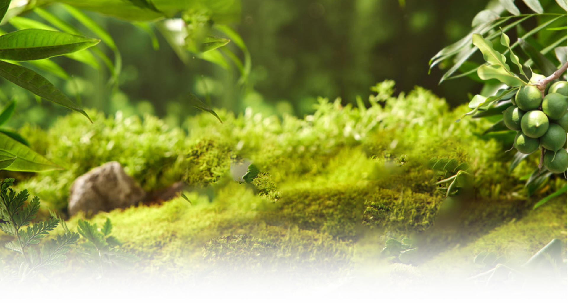 Hangzhou Tianci Food Co., Ltd.